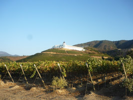 Vi&ntilde;as del Valle de Casablanca