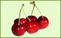 Cerezas