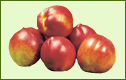 Duraznos