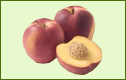 Nectarines