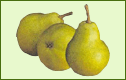 Peras