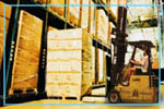TRANSPORTES MSD