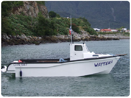  Fast cargo 32 Pro.