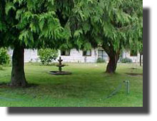 Jard&iacute;n