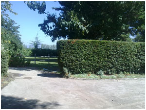 Espacio Vi&ntilde;a Linderos