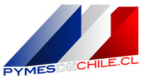 Portal y directorio de la peque&ntilde;a y mediana empresa chilena